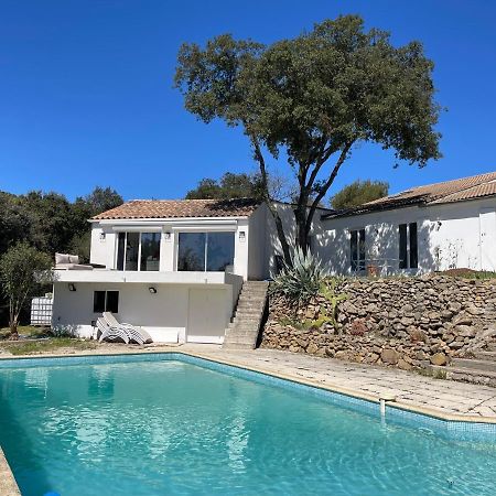 Les Terrasses Des Gardies Bed & Breakfast Pignan Екстериор снимка